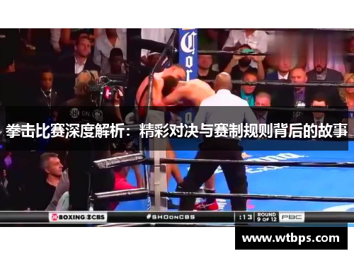 拳击比赛深度解析：精彩对决与赛制规则背后的故事